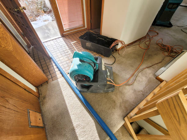 Best Basement water damage restoration  in Clancy, MT