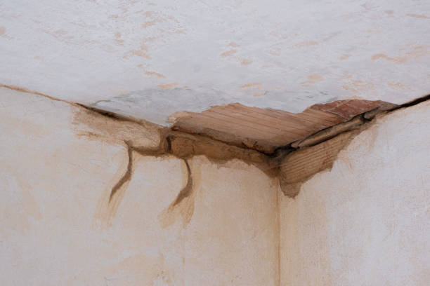 Best Water damage contractors near me  in Clancy, MT