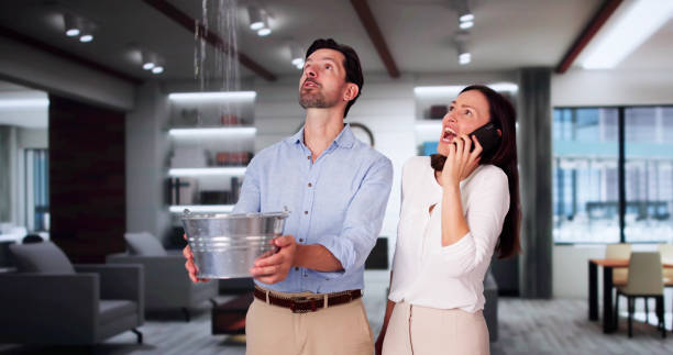 Best Carpet water damage restoration  in Clancy, MT
